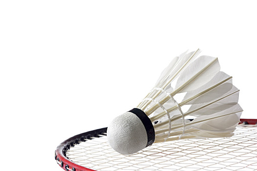 年轻球员提 年轻球员提