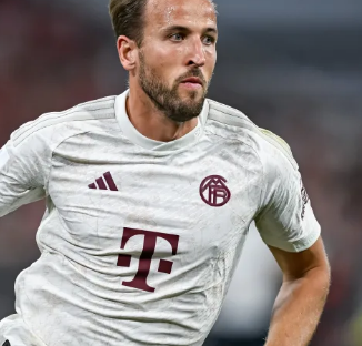 保首周口碑 保首周口碑